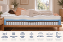 A person lies on a mattress in a bedroom setting, with circular callouts marking different zones of the mattress. A long strip of product feature icons and text appears along the bottom, describing features like pocket springs, breathable airflow, moisture control, plush pillow top, spinal support, and 31cm premium depth.